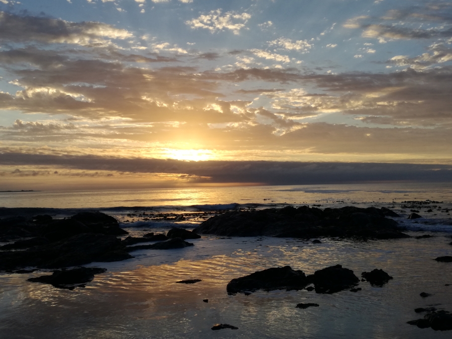 0 Bedroom Property for Sale in Steenbergs Cove Western Cape